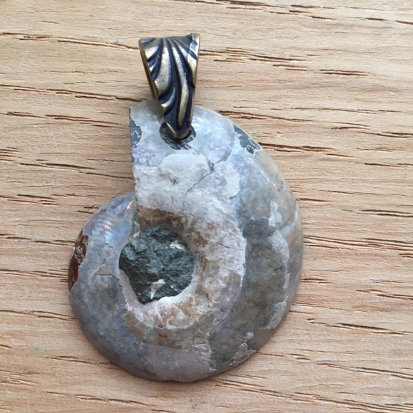 Ammonite Fossil Pendant with Brass Bail NWOT - Picture 13 of 14